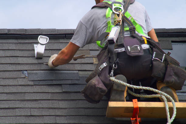 Best Roof Repair Services  in Zephyrhills, FL