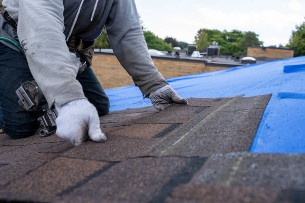 Best Storm Damage Roof Repair  in Zephyrhills, FL